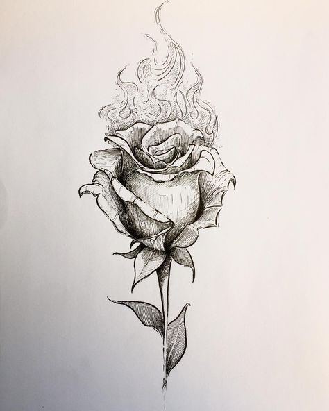 Flaming Rose Drawing, Flower On Fire Drawing, Drawings With Meaning, Rose Drawing Tattoo, Forest Tattoos, Drawing Tattoo, Heart Tattoo Designs, Rose Drawing, Roses Drawing