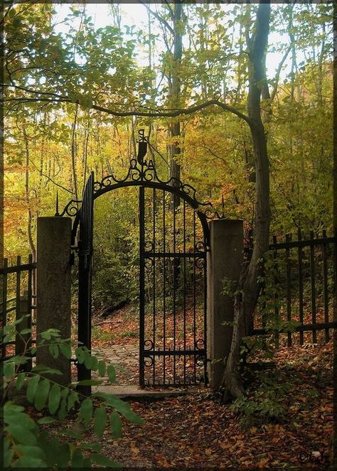 Old Gates, Garden Gates And Fencing, العصور الوسطى, Fleur Design, Wrought Iron Gates, Iron Fence, Iron Gates, Fence Gate, Iron Gate