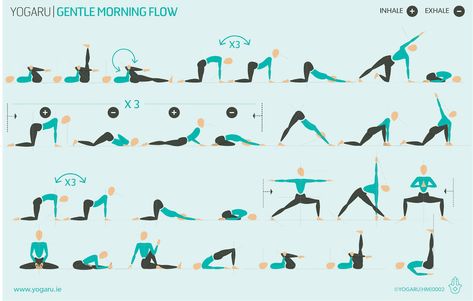 At Home Yoga Sequence: Gentle Morning Flow Morning Yoga Poses, Hata Yoga, Morning Yoga Sequences, Yoga Workout Routine, Yoga Flow Sequence, Morning Yoga Flow, Yoga Vinyasa, Morning Yoga Routine, Yoga Beginners