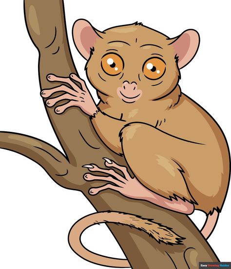 Learn How to Draw a Tarsier: Easy Step-by-Step Drawing Tutorial for Kids and Beginners. See the full tutorial at https://easydrawingguides.com/how-to-draw-a-tarsier/ . Tarsier Drawing, Drawing Guides, Easy Animals, Easy Drawing Tutorial, Drawing Tutorials For Kids, Popular Cartoons, Drawing Tutorial Easy, Coloring Tutorial, Step Drawing