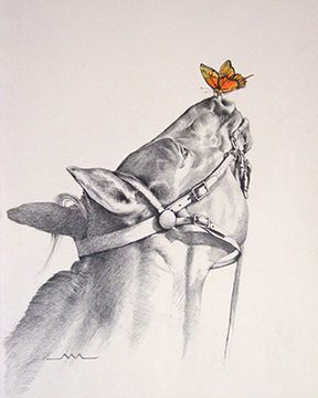 "Balancing Act"  14" x 17"  by Candace Mary Moore Western Drawings, Drawing Horses, Mary Moore, Horse Art Drawing, Horse Sketch, Horse Artwork, Equestrian Art, Horse Drawing, Art Painting Gallery