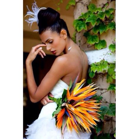 Wedding day Bird Of Paradise Wedding, Tropical Wedding Bouquets, Unique Wedding Bouquet, Bird Of Paradise Flower, Luxury Bouquet, Bridal Party Bouquets, Paradise Wedding, Birds Of Paradise Flower, Tropical Bridal