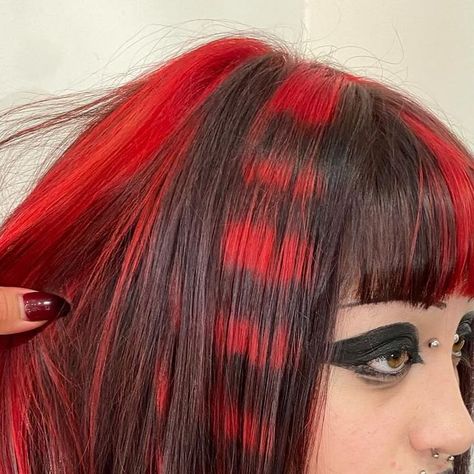 Black And Red Alt Hair, Red And Black Raccoon Hair, Red Hair Ends Dip Dye, Red Roots Black Hair Short, Red Racoon Tail Hair, Emo Red Hair, Red Skunk Hair, Alt Red Hair, Red Hair Ends