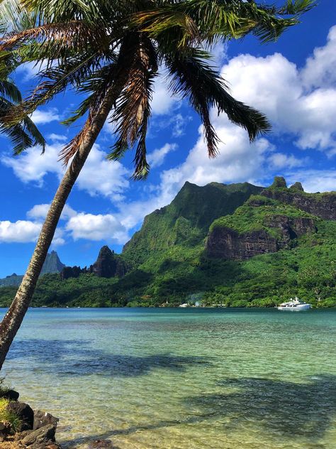 Moorea French Polynesia Moorea Tahiti, Moorea French Polynesia, Tahiti French Polynesia, Air Travel Tips, Full Time Travel, Airport Travel, Top Travel Destinations, French Polynesia, South Pacific