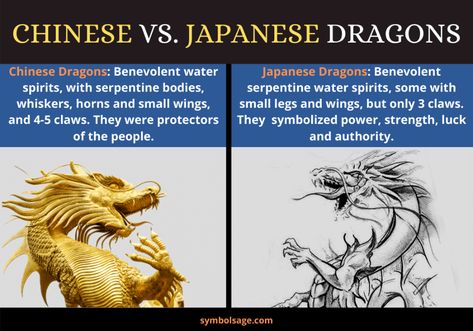 Although very similar, Chinese and Japanese dragons have some fundemental differences. Dragon Tattoo On Finger, Dragon Meaning, Dragon Symbol, Dragon Tattoo Meaning, Dragon Mythology, Tato Naga, Chinese Dragon Tattoos, Japanese Dragon Tattoo, World Mythology