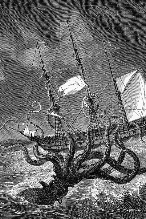 Illustration of a kraken taking on a sailing ship. Kraken Art, Monster Board, Octopus Art, Ancient Maps, World Of Fantasy, Art Courses, Mythological Creatures, Sea Monsters, Mystical Creatures