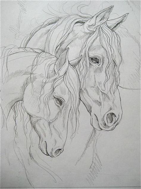 Caballos فن الرسم بالمسامير, Horse Art Drawing, Horse Sketch, 강아지 그림, Horse Drawing, Horse Drawings, Architectural Drawing, Equine Art, Fan Art Drawing