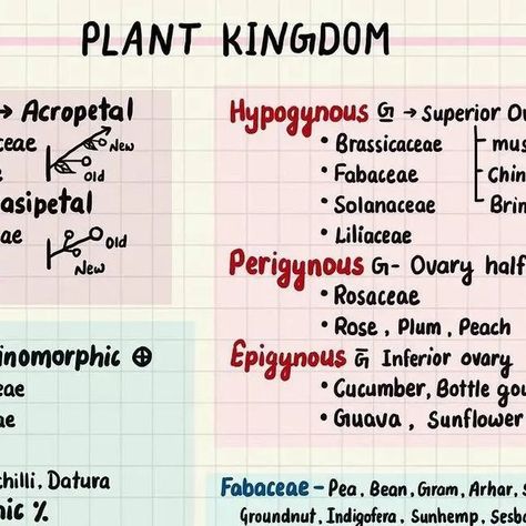 @neet_prepration.2025 on Instagram: "🗣:- morphology of flowering plants topper's notes save it for your better preparation" pdf(link in bio). . . . #neetaspirant #neet2025 #physicswallah #biology #BOTANY #zoology #neetpreparation #neetprep2025 #cbseboard2025 #cbseexam #exam2025 #cbseboardclass12 #cbseclass11th #iitjeepreparation #jeeadvance #jeemains #jeeprep2025 #jeepreparation #explorepage #explore" Morphology Of Flowering Plants Notes, Neet Exam Notes, Morphology Of Flowering Plants, Botany Notes, Exam Notes, Plant Notes, Neet Exam, Flowering Plants, Zoology