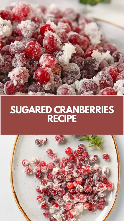 Sugared Cranberries Recipe is made of fresh cranberries coated in sugar for a sweet-tart treat it serves 6, perfect for holiday garnishes or snacking. Ready in about 45 minutes, this recipe is simple, delicious, and festive. Frosted Cranberries, Fresh Cranberry Recipes, Candied Cranberries, Holiday Snack, Sugared Cranberries, Holiday Snacks, Fruity Desserts, Sweet Treats Recipes, Cranberry Recipes