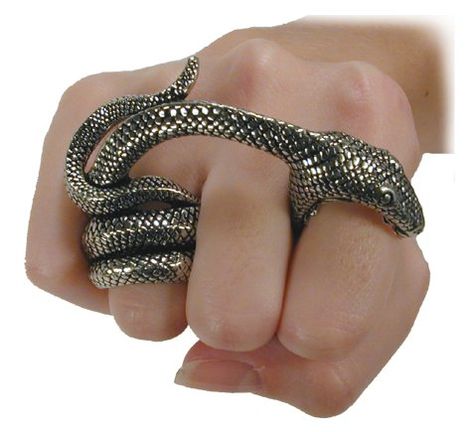 Niiice Unusual Rings Design, Slytherin Ring, Strange Rings, Poison Ring, Alchemy Gothic, Snake Bites, Unusual Rings, Two Fingers