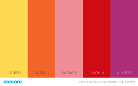 Pink Red Orange Purple Color Palette, Lioness Painting, Branding 2023, Purple Red Color, Purple Palette, Orange Pink Color, Pantone Colour Palettes, Yellow Party, Orange Color Palettes