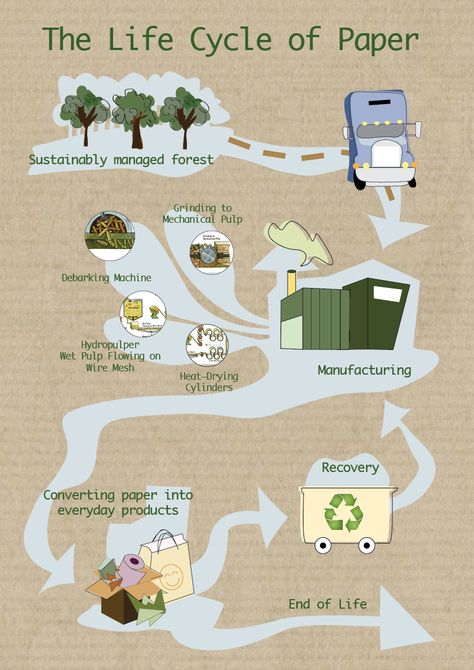 Infographic "The Life Cycle of Paper" by Haly Lai Product Life Cycle Infographic, Life Cycle Assessment Infographic, Life Cycle Infographic, Linkedin Ideas, Hydrological Cycle, Cycle Poster, Cycle Drawing, Life Cycle Assessment, Architecture Design Presentation