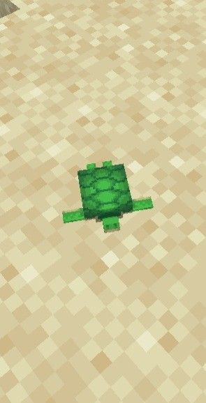 Minecraft Turtle, Minecraft Baby, Baby Turtles, Minecraft