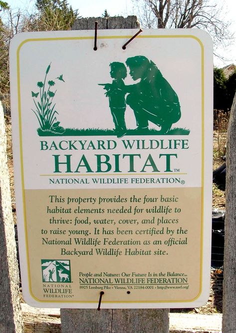 Habitat Garden, Natural Landscaping, Hgtv Garden, National Wildlife Federation, Deer Resistant Plants, Wildlife Gardening, Pollinator Garden, Wildlife Habitat, Animal Sanctuary