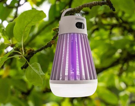 THIS DAD ZAPPED 10,000 MOSQUITOES OVERNIGHT USING THIS SIMPLE TRICK Plants That Repel Flies, Mosquito Traps, Best Mosquito Repellent, Mosquito Zapper, Sympathy Card Messages, Mosquito Protection, Mosquito Trap, Kill Mosquitos, Stink Bugs