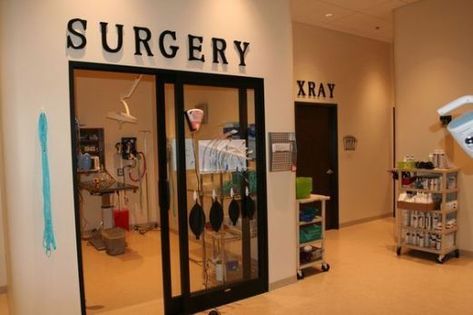 Vet Clinic Layout, Veterinary Storage, Vet Office Decor, Surgery Room, Veterinarian Office, Pet Shelter, Vet Hospital, Vet Office, Vet Medicine