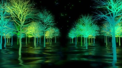 Neon Trees 03 Neon Forest Aesthetic, Bioluminescent Forest, Landscape Neon Background, Glowing Tree, Fantasy Glowing Forest, Neon Trees, 3d Background, Alpha Channel, National Day