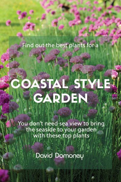 Top Ten Plants - David Domoney Coastal Gardens Uk, Beach Garden Design, Coastal Planting, Coastal Landscaping Ideas, Beach Theme Garden, Beach House Landscaping, Beach House Garden, Coastal Plants, Love Your Garden