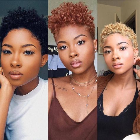 Pick a colour 😍 #twastyles #twahairstyles #coloredhair   ___  Please Tag Source 💙  ___  #luvyourmane #naturalhair #curls #coils #kinks #4chair #protectivehairstyles #flattwist #twistout #washandgo... Black Hair Hairstyles, Women With Short Hair, Short Hair Styles African American, Short Haircuts For Black Women, Twa Hairstyles, Tapered Natural Hair, Simple Hairstyle, Natural Hair Cuts, Natural Hair Short Cuts