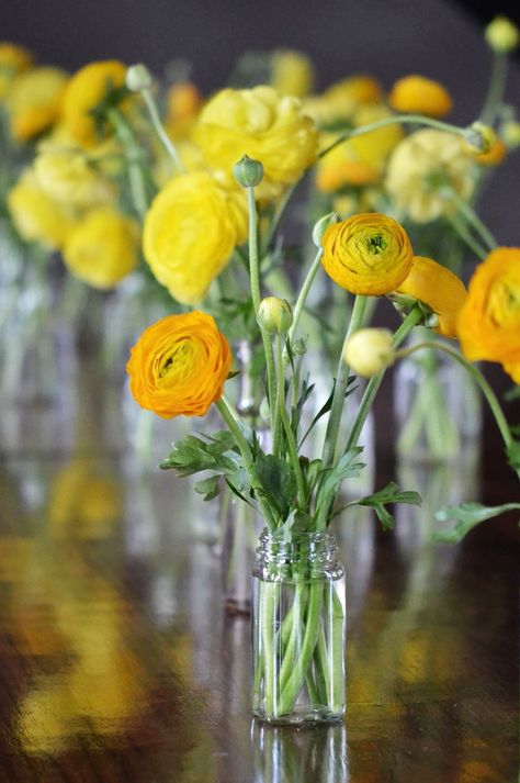 Bright yellow spring time ranunculus blooms in bud vases.   Venue: Green Building, Brooklyn NY. Flowers and photos by your truly, Rosehip! Yellow Bud Vases, Yellow Flower Centerpieces, Yellow And White Wedding, Cobble Hill Brooklyn, I Do Take Two, Bud Vases Wedding, Bud Vase Centerpiece, Sun Theme, Yellow Weddings