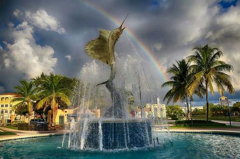 Stuart Sailfish Fountain Places In Florida, Treasure Coast, Fernandina Beach, Vacation Tips, Seaside Town, Old Florida, Florida Travel, Beach Town, Florida Beaches