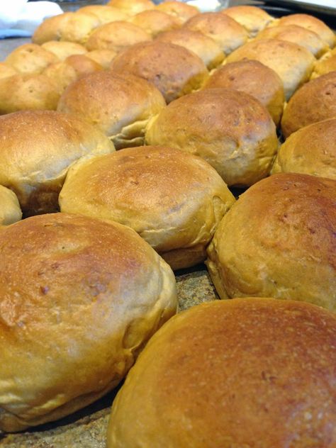 The Audacious Cook: Oatmeal Buns Cook Oatmeal, Korean Bun, Healthy Bread, Healthy Oatmeal, Hamburger Buns, Bun Recipe, White Flour, Breakfast Breads, Hamburger Bun