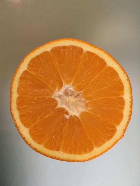 Oranges Reference, Orange Cross Section, Orange Slice Drawing Realistic, Orange Segment, Orange Reference Photo Fruit, Orange Photography Fruit, Orange Fruit Background, Orange Photography, Coral Sunset