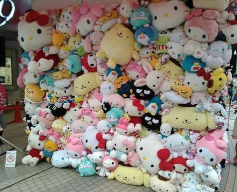 I want all of them! Hello Kitty Stuff, Melody Hello Kitty, Kitty Stuff, Kitty Plush, Kawaii Plushies, Hello Kitty My Melody, Hello Kitty Pictures, Hello Kitty Plush, Hello Kitty Items