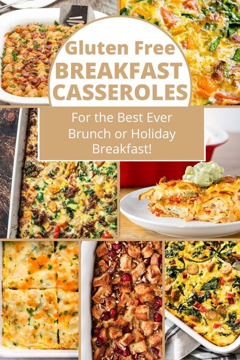 an assortment of breakfast casseroles gluten free Gluten And Dairy Free Breakfast Recipes, Gluten Free Brunch Casserole, Casserole Recipes With Hashbrowns, Egg Casserole Recipes Sausage, Gluten Free Egg Free Breakfast, Recipes With Hashbrowns, Egg Casserole Recipes With Hashbrowns, Crockpot Egg Casserole, Gluten Free Breakfast Casserole Recipes