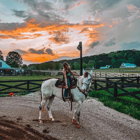 something in the orange ☀️ @savdor5 #western #horsesofinstagram #horses #sunset #punchy #aesthetic #barrelhorses #filter #barrelracing #barrelhorse #barrelhorsesofinstagram #fancybrokeofficial #orange #somethingintheorange #☀️ Western Horse Riding Aesthetic, Barrel Racing Aesthetic, Brunette Cowgirl, Punchy Aesthetic, Horses Sunset, Cowgirl Core, Barrel Racing Tack Rodeo, September Dump, Barrel Horses