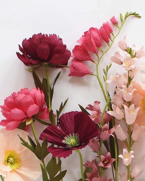 Cosmos Bouquet, Paper Flower Projects, Flowers Cosmos, Ranunculus Flower, Flower Projects, Diy Fleur, Paper Flower Arrangements, Paper Flower Art, Fleurs Diy