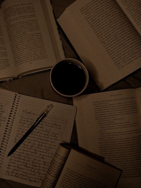 Dark Academia Widget, Dark Academia Literature, Dark Academy Aesthetic, The Secret History Aesthetic, November Aesthetic, Vintage Core, Dark Acadamia, Books And Coffee, Literary Genre