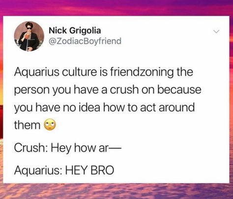 Aquarius Funny Hilarious, Aquarius Funny, Aquarius Aesthetic, Aquarius Truths, Aquarius Life, Aquarius Quotes, Aquarius Sign, Aquarius Horoscope, Narcissistic People