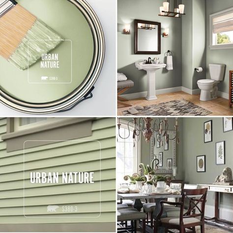 Urban Nature ~ BEHR Paint Cottage Hill Behr Paint, Urban Nature Behr, Back To Nature Behr Paint, Behr Paint Green, Behr Green Paint Colors Bedrooms, Best Behr Paint Colors, Green Behr Paint, Behr Green Paint Colors, Accent Wall In Kitchen