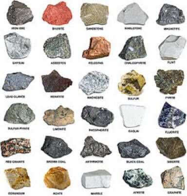 Examples of sedimentary rocks can be found around the world, but luckily, you don't have to travel. Uncover the types of sedimentary rocks with our list. Rock Identification Pictures, Geology Rocks Mineral, Different Types Of Rocks, Types Of Rocks, Raw Gemstones Rocks, Rock Identification, Rock Tumbling, Rock Hunting, Geology Rocks