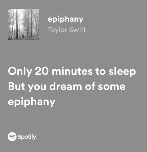 Taylor Swift Grey Taylor Swift, Epiphany Lyrics, Taylor Lyrics, Me Too Lyrics, Taylor Swift Lyrics, Just Lyrics, Taylor Swift Quotes, Epiphany, Family Signs