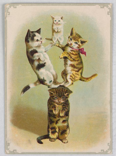 Greeting card | Smithsonian Institution Kitty Illustration, Victorian Advertising, Cooper Hewitt, Cat Apparel, Vintage Cats, Cat Illustrations, Trade Cards, Cat Posters, Cat Cards