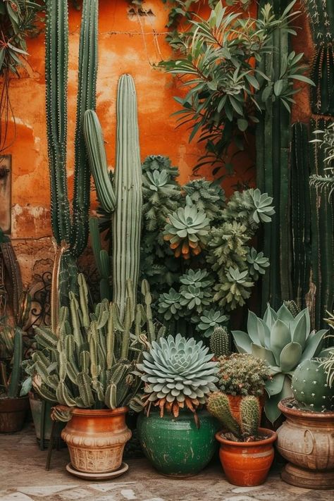 Tropical Oasis Aesthetic, Cactus In Pots Outdoor, Mexican Garden, Cactus House Plants, Desert Decor, Plant Aesthetic, Front Yard Garden, Desert Plants, Cactus Y Suculentas