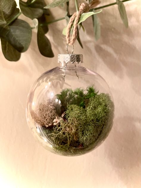 Terrarium Christmas Ornaments Diy, Christmas Moss Decor, Moss Ornaments, Nature Curriculum, Moss Christmas, Diy Resin Flowers, Culture Crafts, Clear Plastic Ornaments, Clear Christmas Ornaments