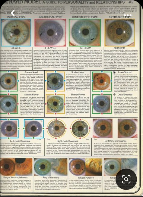 Iridology Chart, Eye Color Chart, Health Chart, Eye Chart, Seasonal Color Analysis, Naturopathy, Alternative Health, Color Analysis, Irises