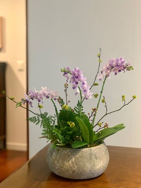 Orchid Ideas, Plant Centerpieces, Mini Orquideas, Garden Goals, Pot Flower, Orchid Arrangements, Plants Ideas, Floral Decorations, Orchid Plants