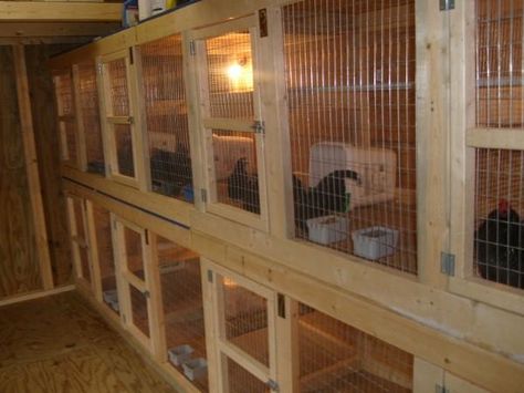 Poultry Breeding Pens, Bantam Chicken, Poultry Breeds, Chicken Brooder, Chicken Barn, Bantam Chickens, Chicken Pen, How To Raise Chickens, Backyard Chicken Coop Plans