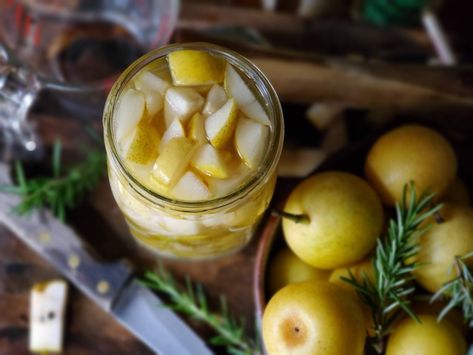 This Asian pear shrub recipe makes a great fall drinking vinegar. The use of champagne vinegar creates a less tart beverage and great pear shrub cocktail. Apple Shrub Recipe, Pear Vinegar, Canning Green Tomatoes, Shrub Drink, Vinegar Recipes, Shrub Recipe, Pear Cocktails, Easy Mocktail Recipes, Drinking Vinegar