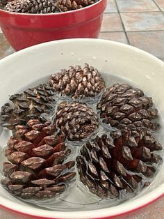 Pinecone Crafts Christmas, Pine Cone Art, Pine Cone Decorations, Cones Crafts, Pine Cone Crafts, Holiday Crafts Christmas, Winter Crafts, Pine Cone, Christmas Deco