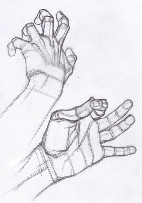 Stefano Lanza, Drawing Hands, Hand Drawing Reference, Anatomy Sketches, Anatomy For Artists, Drawing Studies, Hands Holding, Anatomy Drawing, Hand Sketch