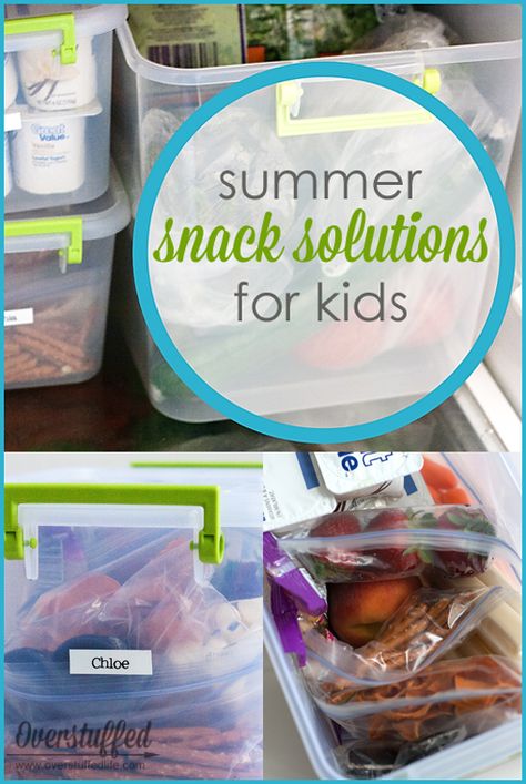 Summer Break Food Ideas, Summer Kids Snacks, Snack Bin, Food Budget, Kids Lunches, Grocery Budget, Snacks Healthy, Summer Lunch, Summer Snacks