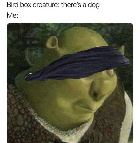 The only reason to take off the blindfold. Voltron Funny, Bird Box, Voltron Comics, Form Voltron, Voltron Fanart, Bird Photos, Voltron Klance, Bird Boxes, Funny Birds