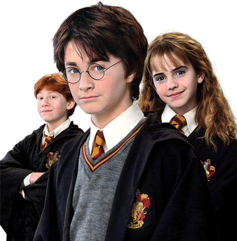 harry potter Harry Potter Portraits, Phoenix Harry Potter, The Golden Trio, Ron Weasley Hermione Granger, Ron And Harry, Harry Potter Art Drawings, Harry Potter Classroom, Harry And Ginny, Philosopher's Stone