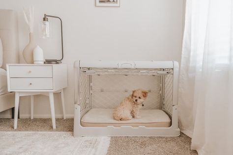 Crate Aesthetic, Decorative Dog Crates, Collapsible Dog Crate, New Puppy Checklist, Eclectic Homes, Wooden Dog Crate, Puppy Crate, Dog Crates, Dog Crate Furniture