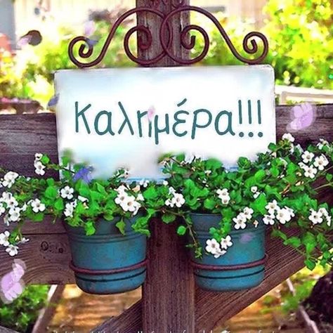 Gate Signs, Greek Travel, Beautiful Pink Roses, Night Photos, Beautiful Moon, Greek Quotes, Good Morning Good Night, Wishing Well, Good Morning Messages